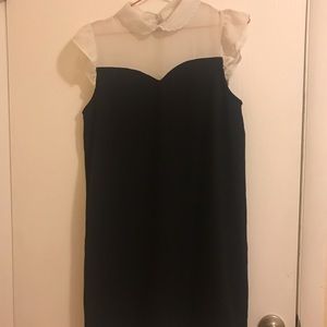 Peter Pan collar dress